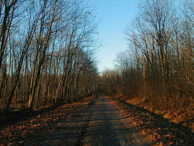 hauntedroad4