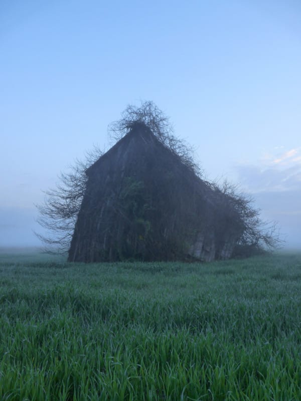 you-need-to-see-these-old-homes-that-have-been-reclaimed-by-mother