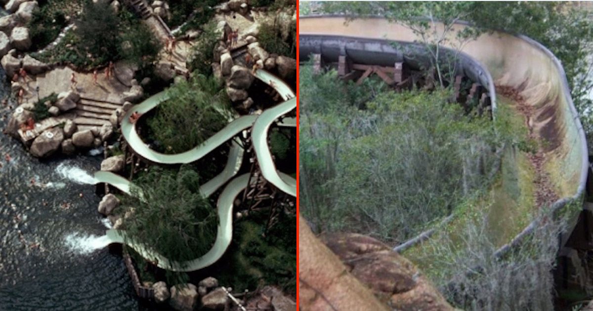 disney world river country death