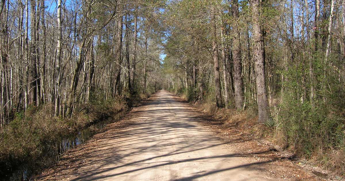 Texas Terrors: The Most Haunted Places to Visit in Texas