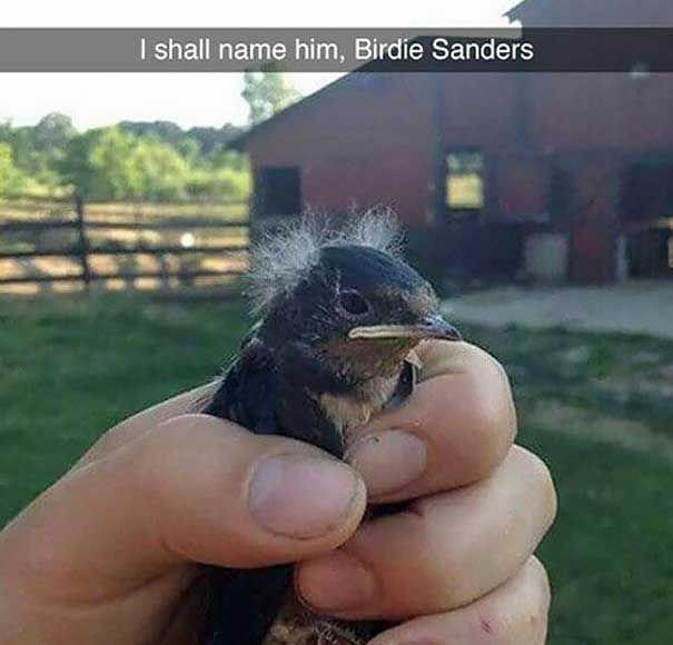 SnapChatFails_BirdieSanders.jpg