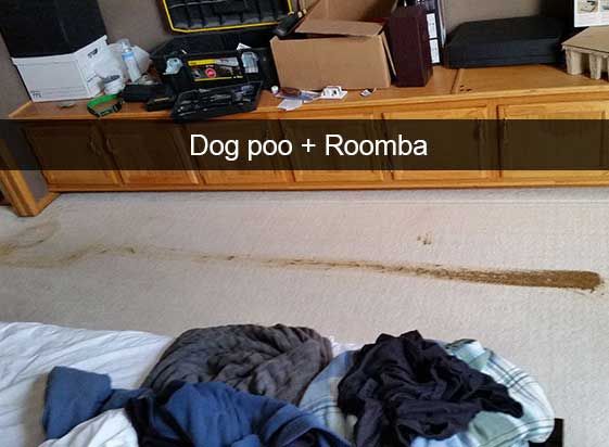 SnapChatFails_DogPoo.jpg