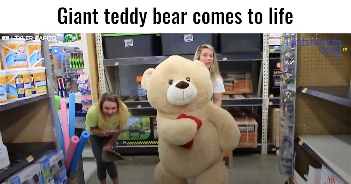Teddy Bear Comes to Life: Watch the Hilarious Giant Stuffed Animal