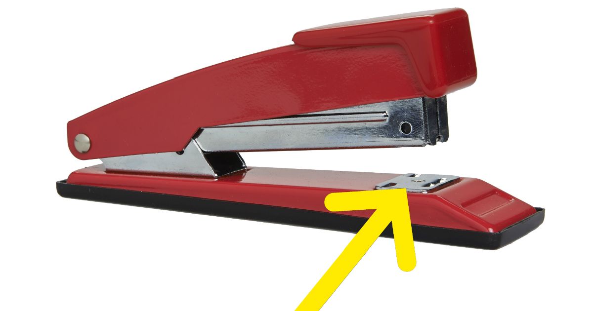 definition of stapler