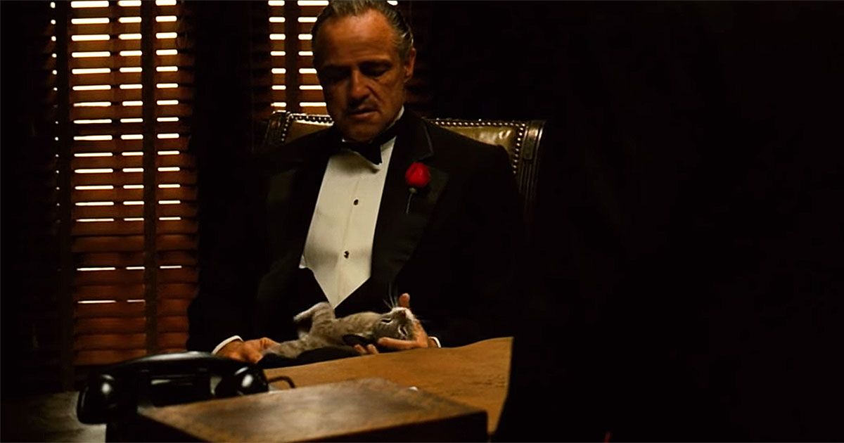 Bloopers Left In Movies That Made The Scenes Better