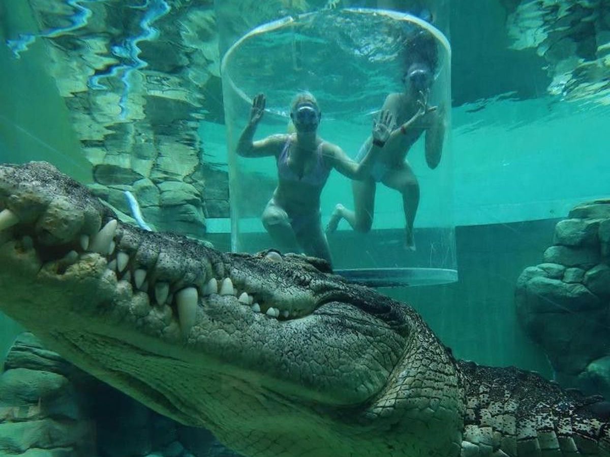 unusual-pools-the-wildest-pools-from-all-around-the-world